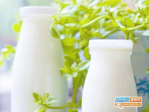 一棒牛鲜奶站 品质鲜奶品牌的建设与加盟优势全景展示