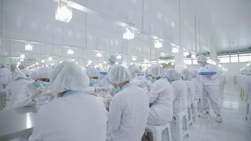 传播燕窝健康养生文化,龙皇长寿标为品质而生